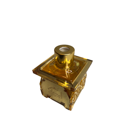 DIFFUSEUR 100ml