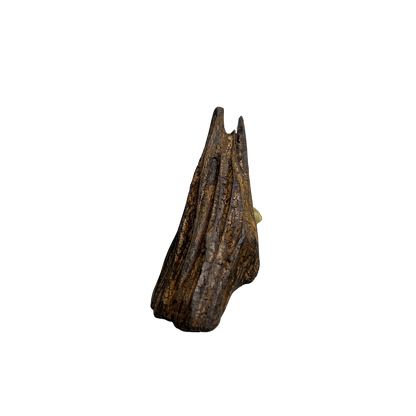 OUD HINDI TABIEI 5 gram