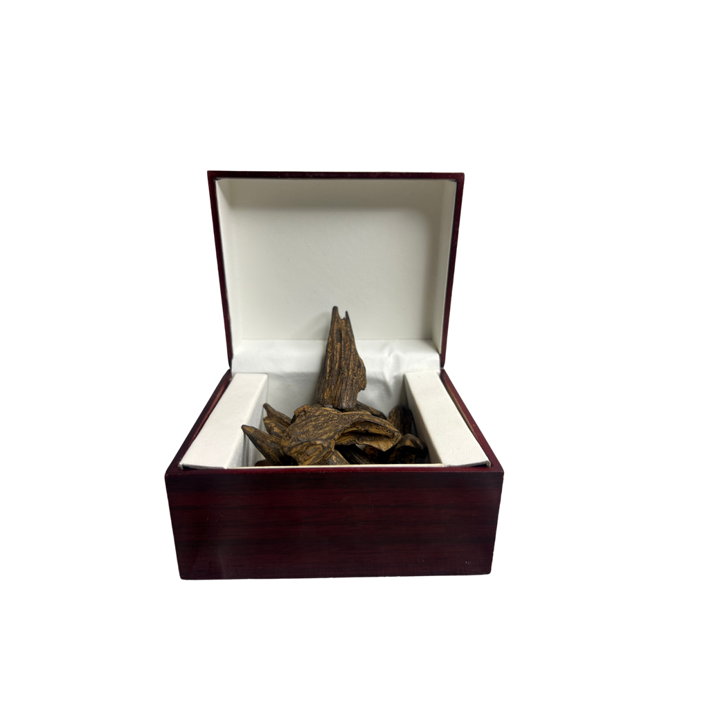 OUD HINDI TABIEI 5 gram